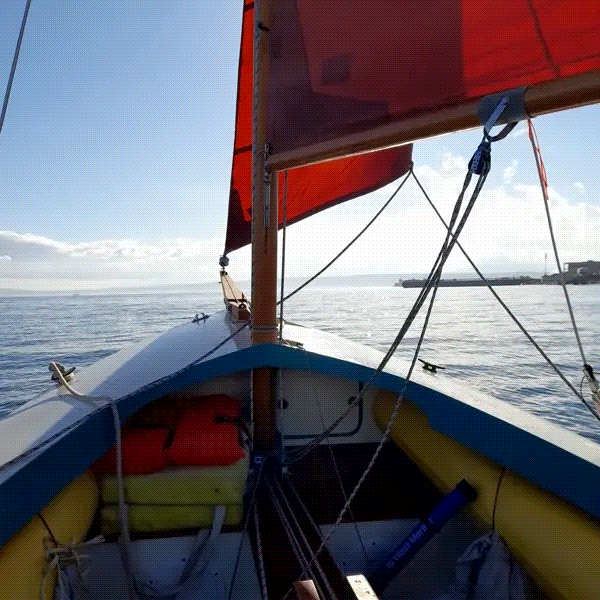 Out in the Bay