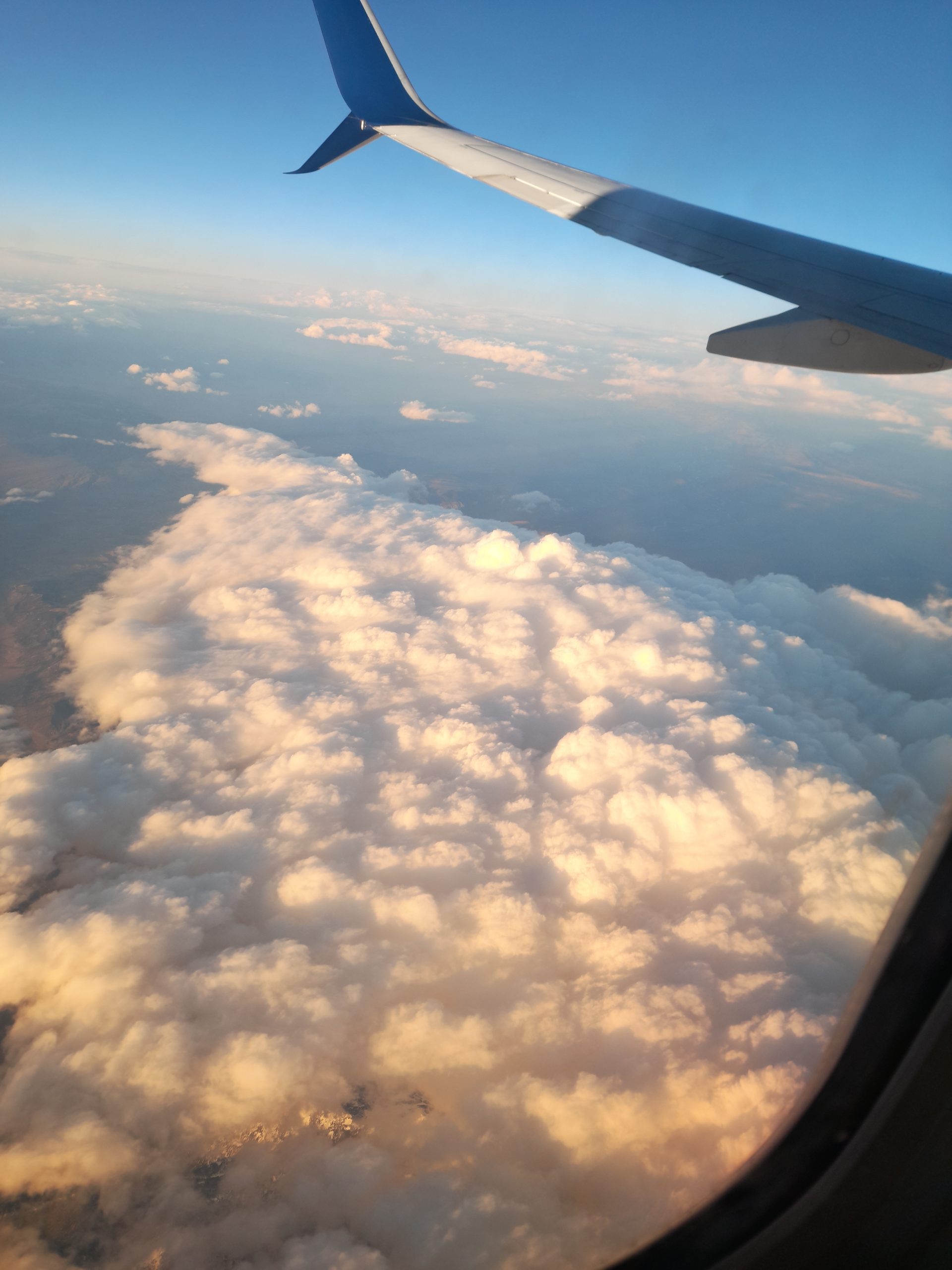 The Flight Home