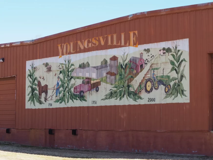 My Home of 19 Years, Youngsville, NC
