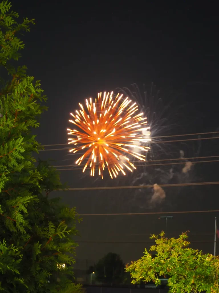 a yellow starburst firework explodes in the night sky