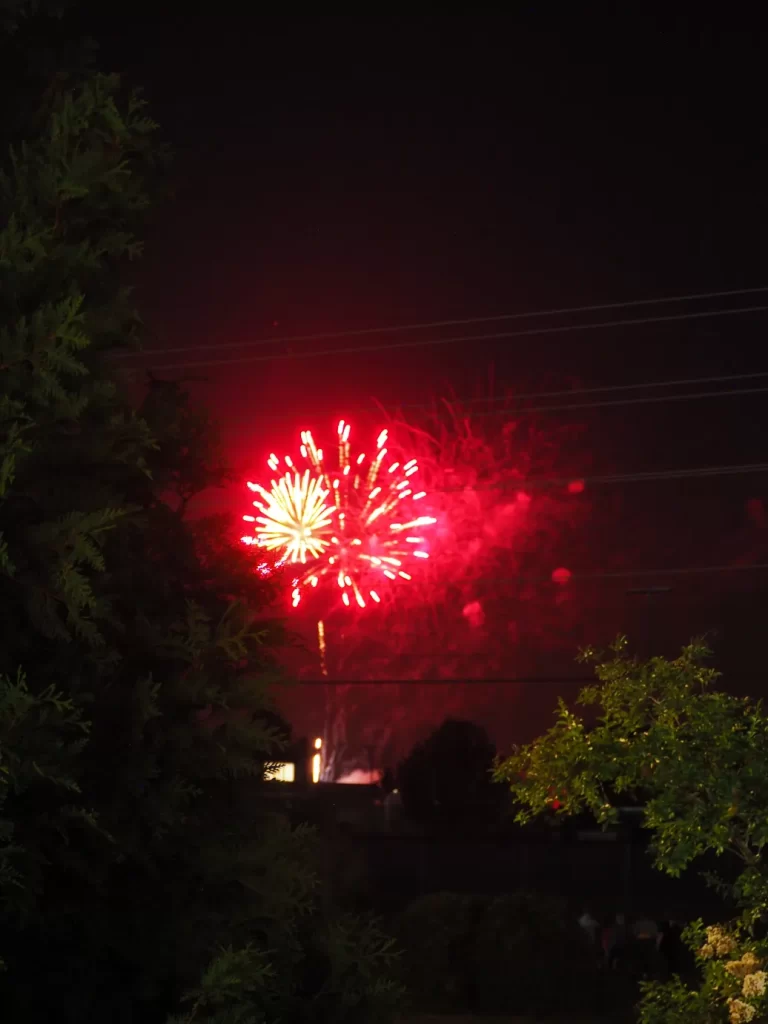 a bright red firework explodes in the night sky