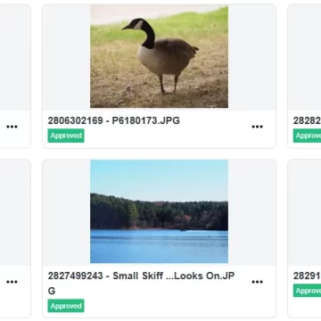 a collection of images uplaoded to a microstock platform