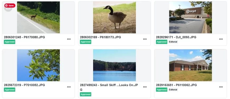 a collection of images uplaoded to a microstock platform