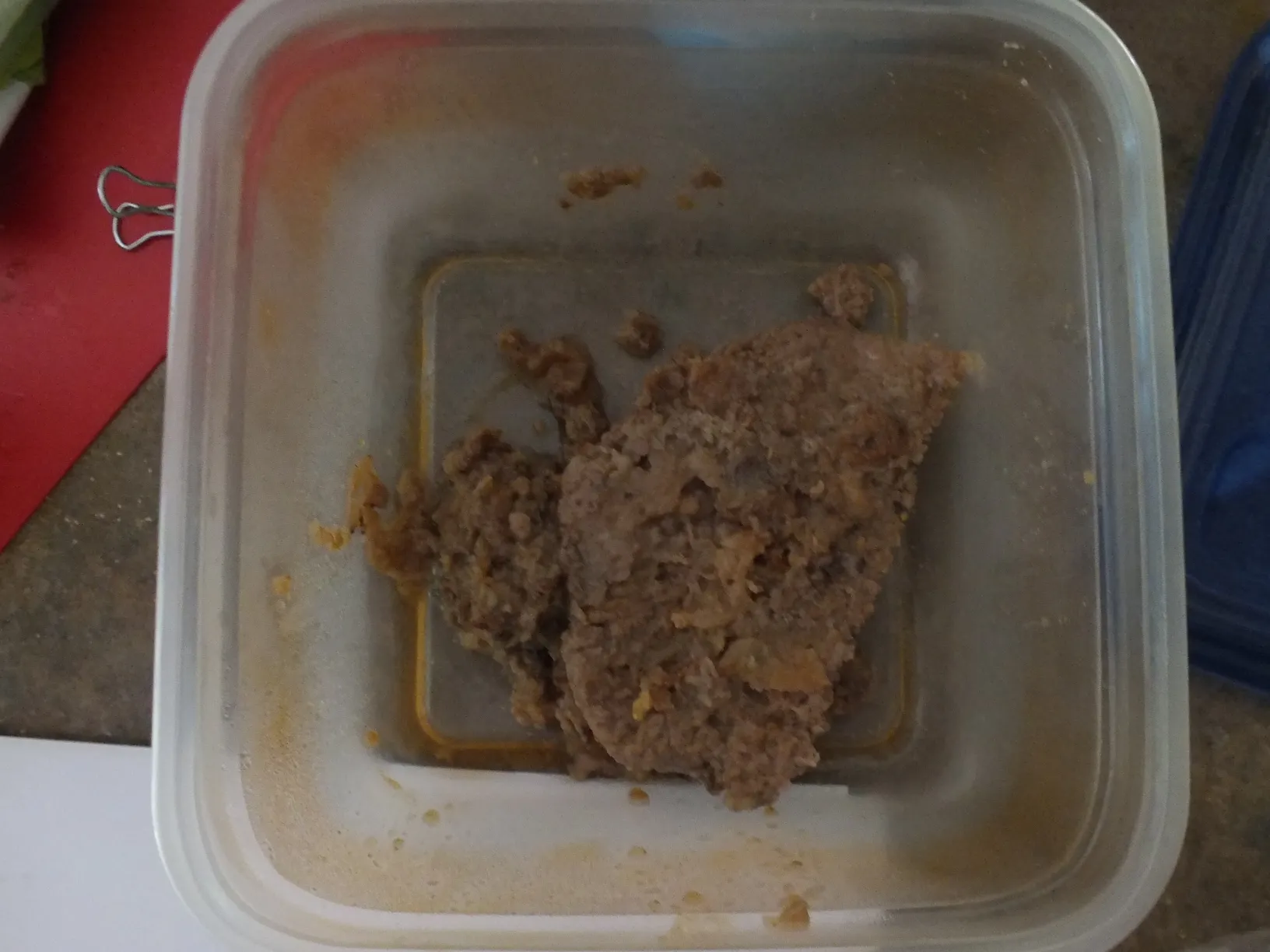 Cooked ground meat patty inside a square plastic food container