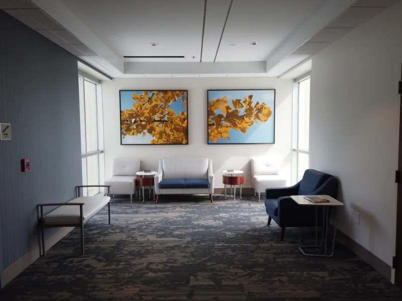 waiting area with several chairs and short tables, a pair of photos hand on the wall depicting the leaves of a Ginko tree, sunlight pours in from windows on either side of the hall.